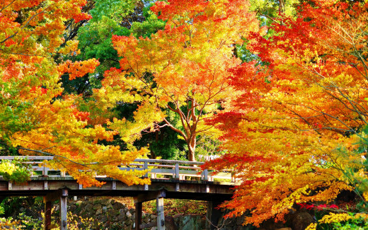 1091749 (a): :2880x1800